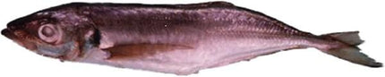 Horsemackerel (Thomson) Norway 1kg